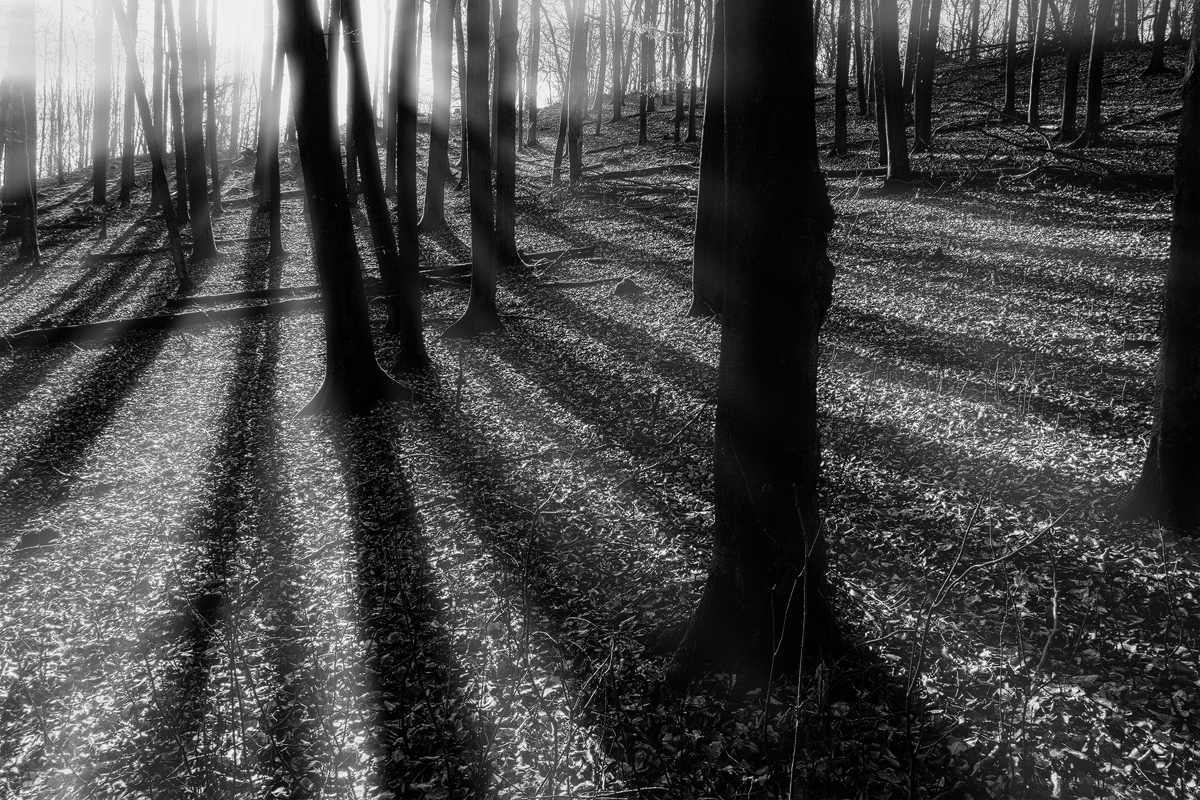 Wulf Kobusch Landschaftsfotografie