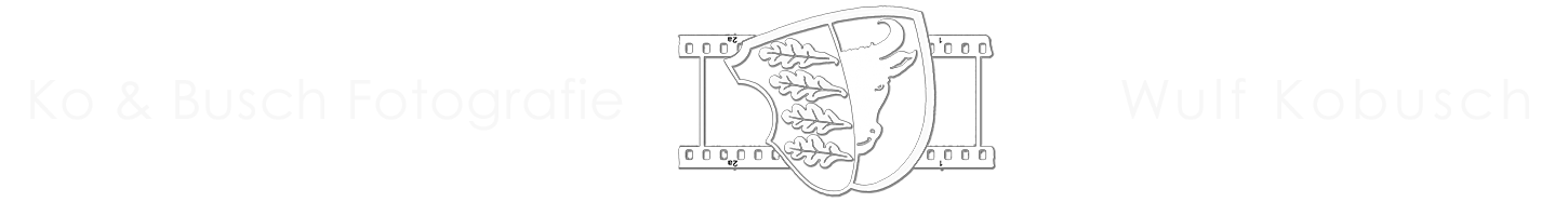 logo_kobusch_website3